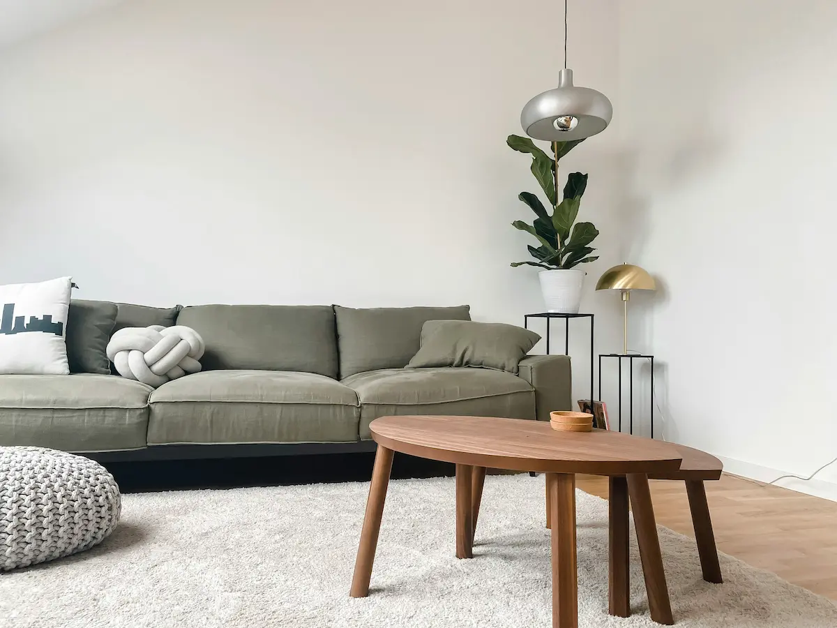 Salon moderne avec canapé gris et plante verte, appartement à louer